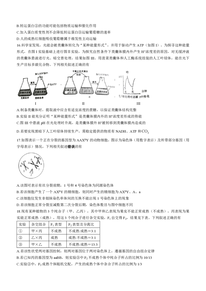 江苏镇江高三上(期初考)-生物试题+答案(1)_2023年9月_029月合集_2024届江苏省镇江高三上学期期初考试