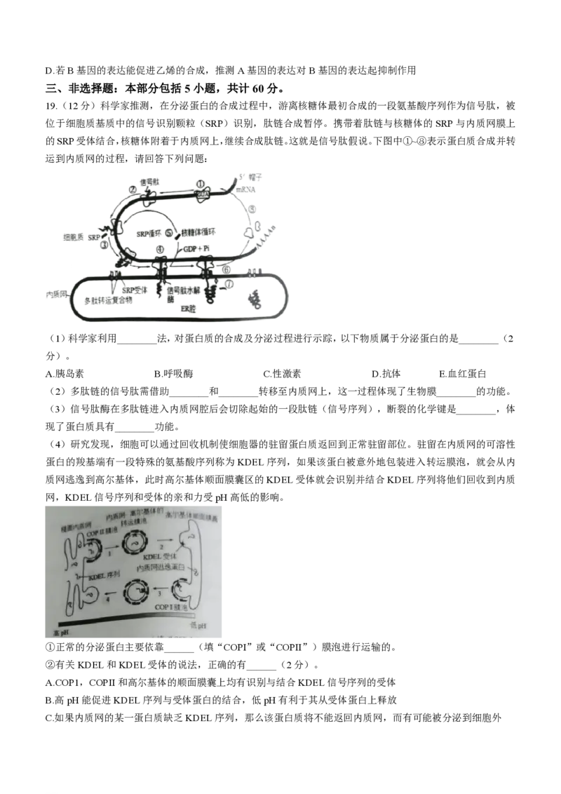 江苏镇江高三上(期初考)-生物试题+答案(1)_2023年9月_029月合集_2024届江苏省镇江高三上学期期初考试