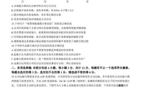 江苏镇江高三上(期初考)-生物试题+答案(1)_2023年9月_029月合集_2024届江苏省镇江高三上学期期初考试