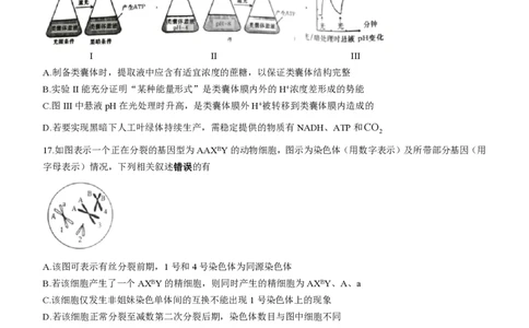 江苏镇江高三上(期初考)-生物试题+答案(1)_2023年9月_029月合集_2024届江苏省镇江高三上学期期初考试