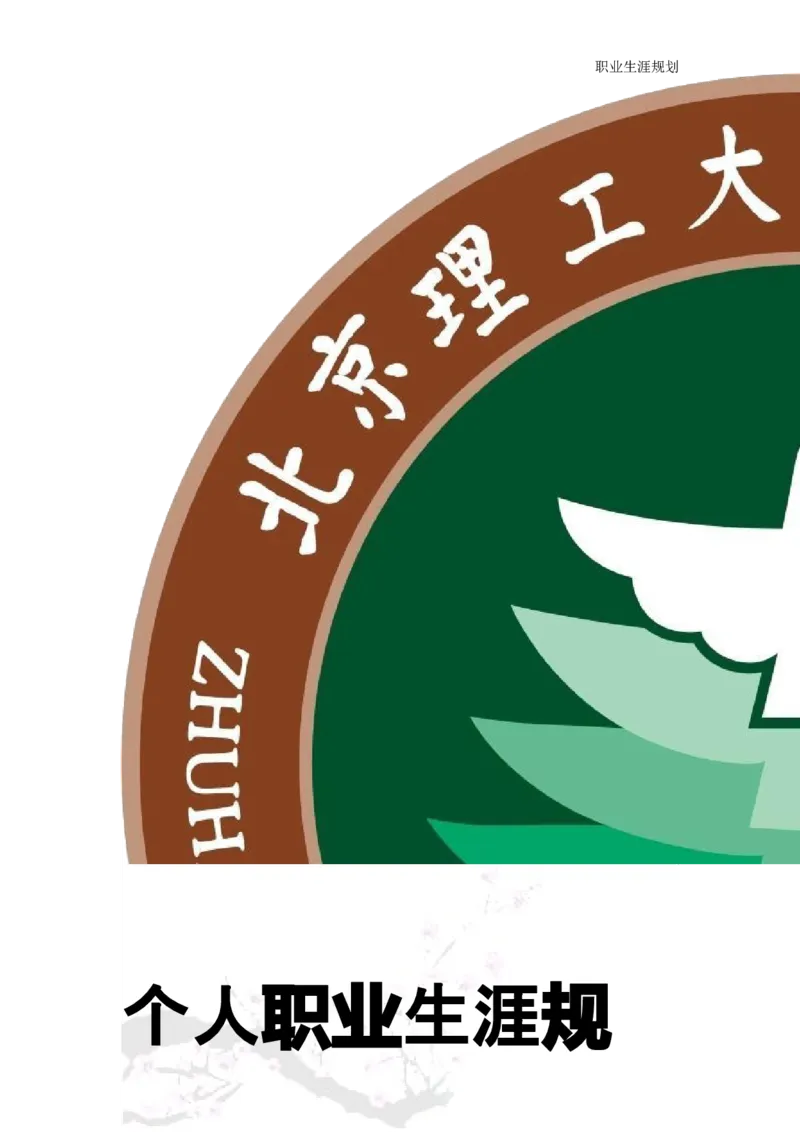 商务日语职业生涯规划书_E6-职业规划_05日语专业