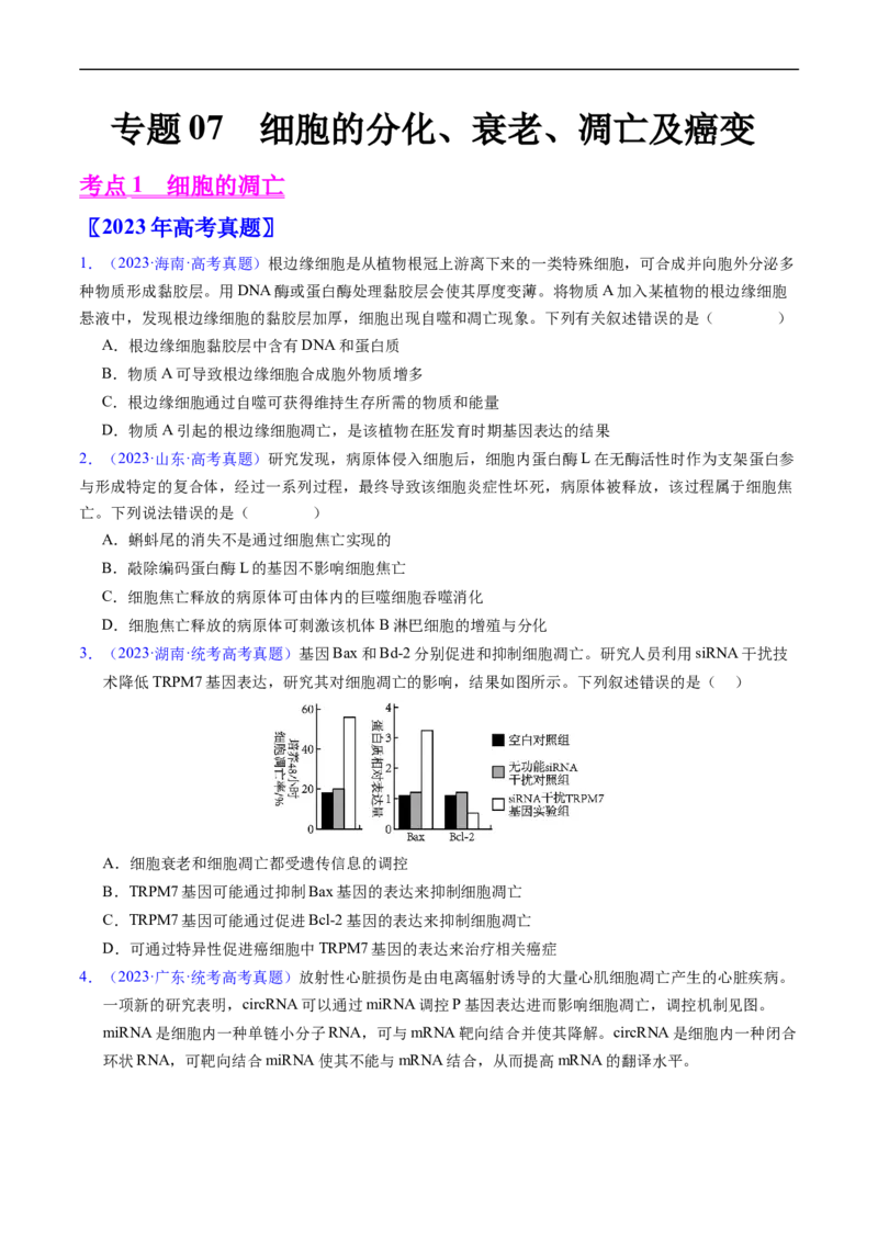 专题07细胞得分化、衰老、凋亡及癌变-五年（2019-2023）高考生物真题分项汇编（全国通用）（原卷版）_赠送：2008-2024全套高考真题_高考生物真题