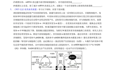 专题07细胞得分化、衰老、凋亡及癌变-五年（2019-2023）高考生物真题分项汇编（全国通用）（原卷版）_赠送：2008-2024全套高考真题_高考生物真题