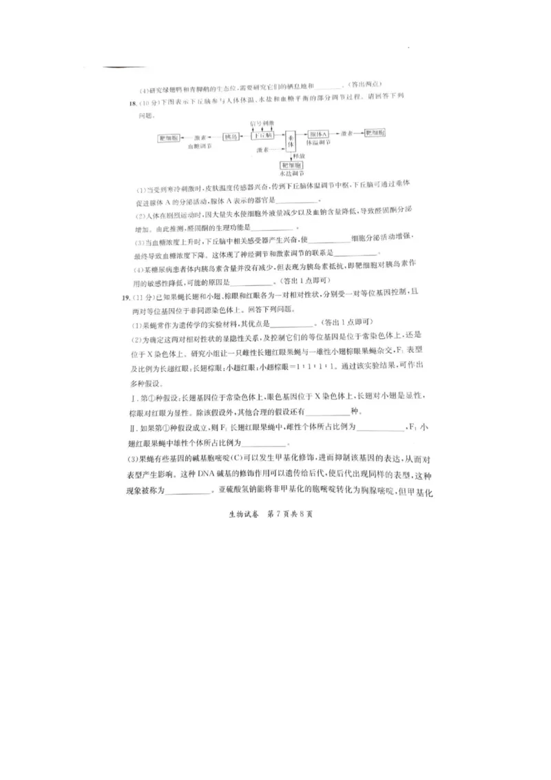 2024安徽省高三质量联合检测生物试卷_2024年5月_01按日期_8号_2024安徽省京师测评高三质量联合检测_2024安徽省京师测评高三质量联合检测生物试题