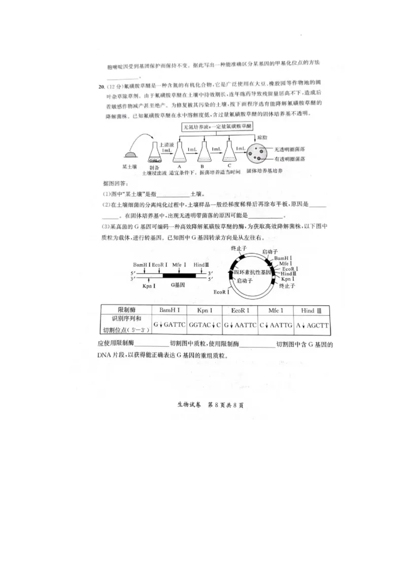 2024安徽省高三质量联合检测生物试卷_2024年5月_01按日期_8号_2024安徽省京师测评高三质量联合检测_2024安徽省京师测评高三质量联合检测生物试题
