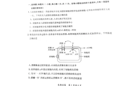 2024安徽省高三质量联合检测生物试卷_2024年5月_01按日期_8号_2024安徽省京师测评高三质量联合检测_2024安徽省京师测评高三质量联合检测生物试题