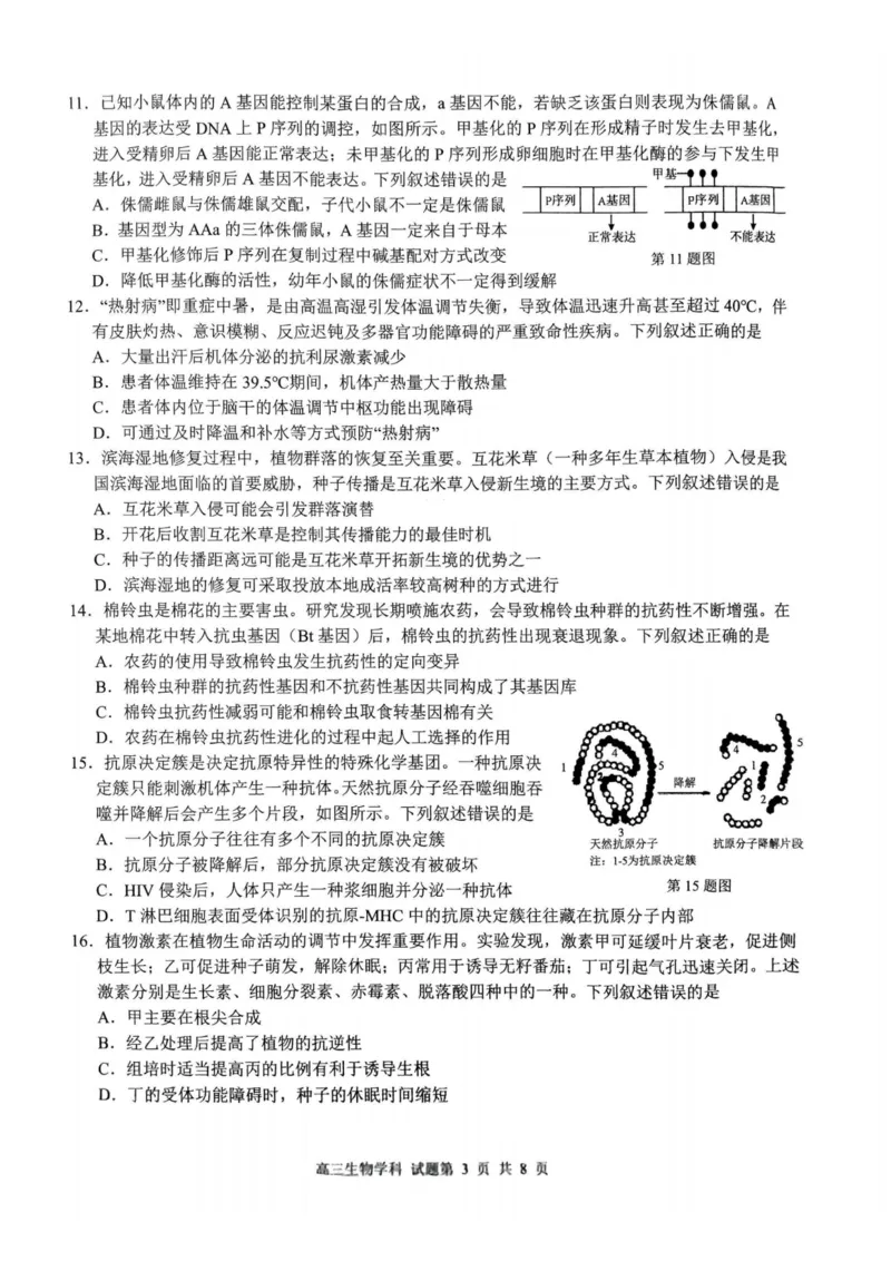 生物卷-2310浙南名校(1)_2023年10月_0210月合集_2024届浙江省浙南名校联盟高三上学期第一次联考_浙江省浙南名校联盟2024届高三上学期第一次联考生物
