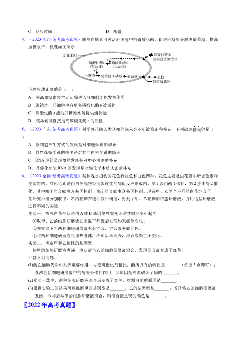 专题04酶和ATP-五年（2019-2023）高考生物真题分项汇编（全国通用）（原卷版）_赠送：2008-2024全套高考真题_高考生物真题_送高考生物五年真题(2019-2023)分项汇编（全国通用）