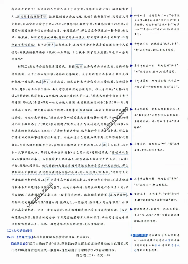 评分标准一题一模板语文-_2024高考押题卷_12024天星全系列_tx抢分密卷_tx抢分密卷（新高考）