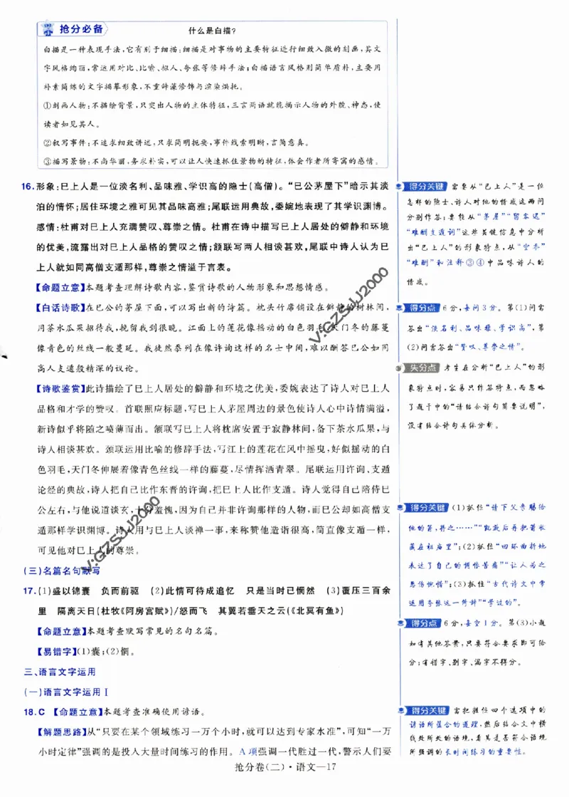 评分标准一题一模板语文-_2024高考押题卷_12024天星全系列_tx抢分密卷_tx抢分密卷（新高考）