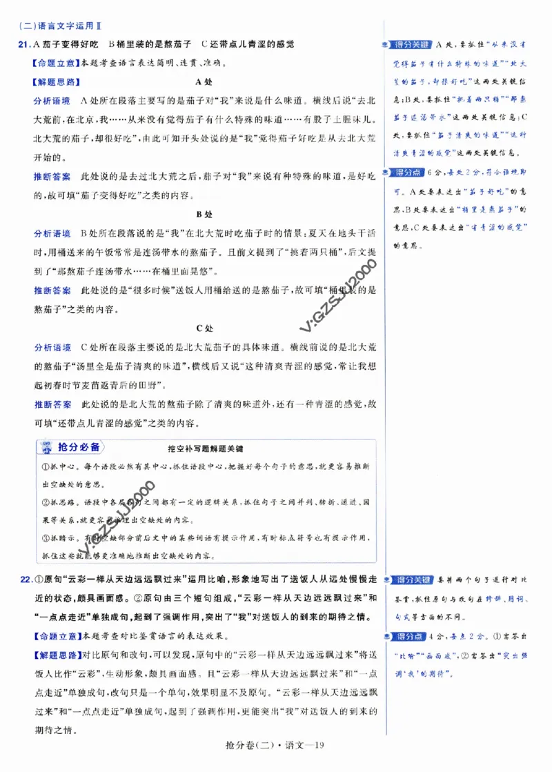 评分标准一题一模板语文-_2024高考押题卷_12024天星全系列_tx抢分密卷_tx抢分密卷（新高考）