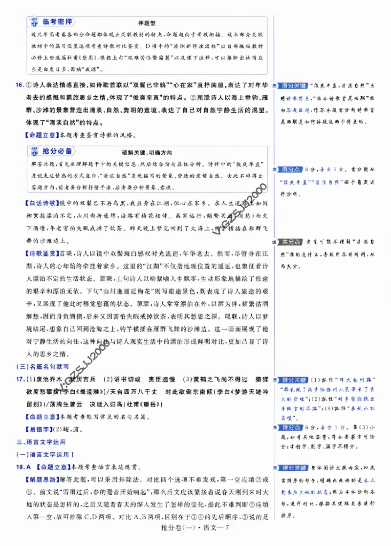 评分标准一题一模板语文-_2024高考押题卷_12024天星全系列_tx抢分密卷_tx抢分密卷（新高考）