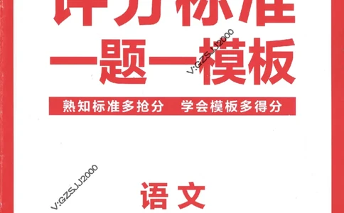 评分标准一题一模板语文-_2024高考押题卷_12024天星全系列_tx抢分密卷_tx抢分密卷（新高考）