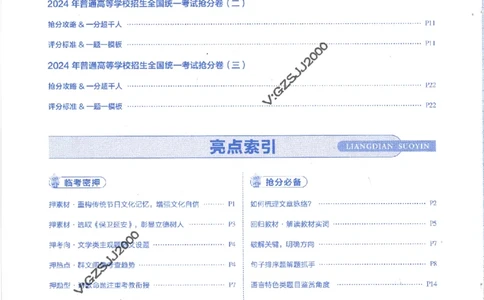 评分标准一题一模板语文-_2024高考押题卷_12024天星全系列_tx抢分密卷_tx抢分密卷（新高考）