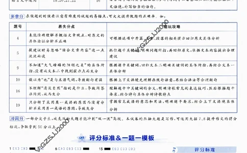 评分标准一题一模板语文-_2024高考押题卷_12024天星全系列_tx抢分密卷_tx抢分密卷（新高考）