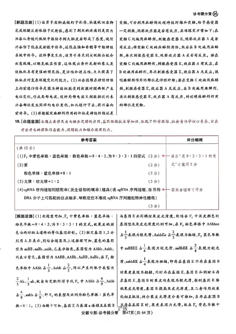 王后雄高考押题预测卷2024安徽专版诊考提分册_2024高考押题卷_22024王hou雄_（新高考）2024王后雄押题预测卷（分科版）_3.英语