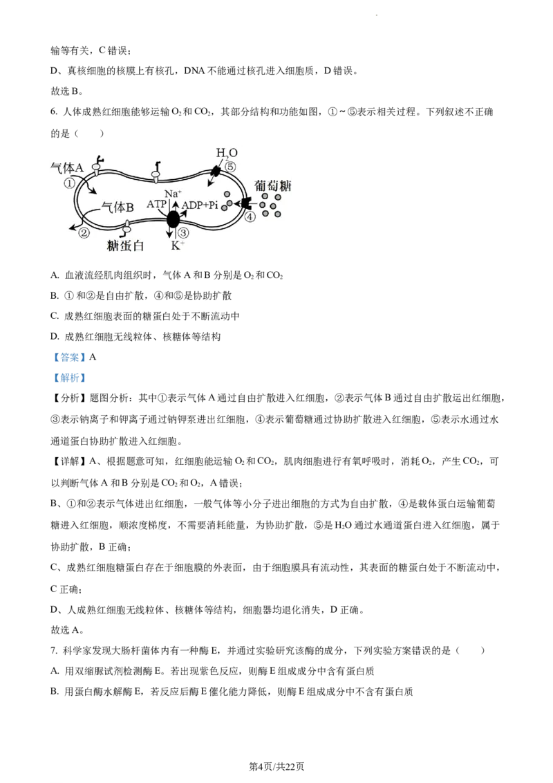 精品解析：云南省红河州开远市一中2023-2024学年高三上学期开学考试生物试题（解析版）(1)_2023年10月_0210月合集_2024届云南省开远市第一中学校高三上学期开学考