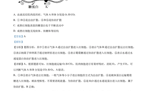 精品解析：云南省红河州开远市一中2023-2024学年高三上学期开学考试生物试题（解析版）(1)_2023年10月_0210月合集_2024届云南省开远市第一中学校高三上学期开学考