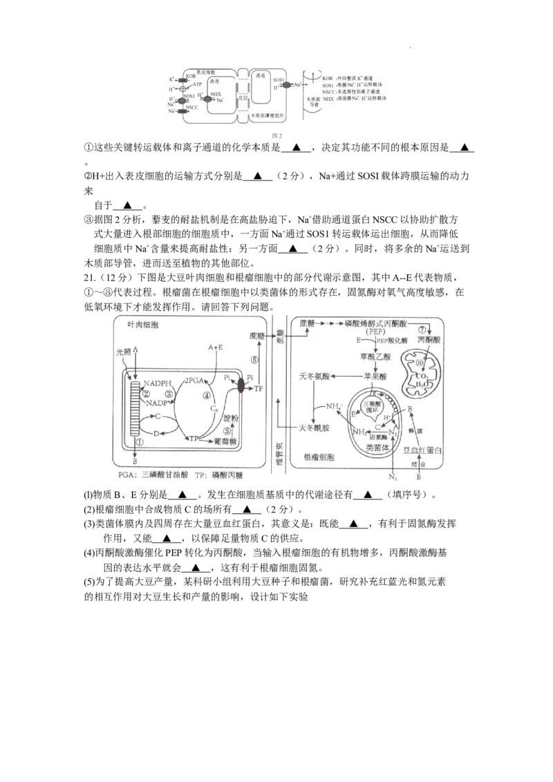 江苏省淮安市2024届高三上学期开学调研测试生物(1)_2023年9月_029月合集_2024届江苏省淮安市高三上学期开学调研测试