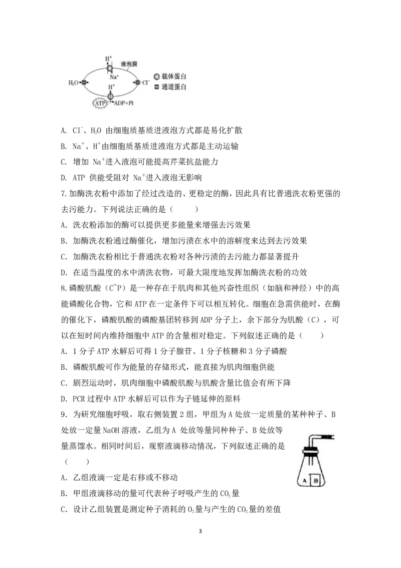 重庆市铜梁一中等三校2023-2024学年高三10月联考生物试题(1)_2023年10月_0210月合集_2024届重庆市铜梁一中等三校高三上学期10月联考_重庆市铜梁一中等三校2024届高三上学期10月联考生物