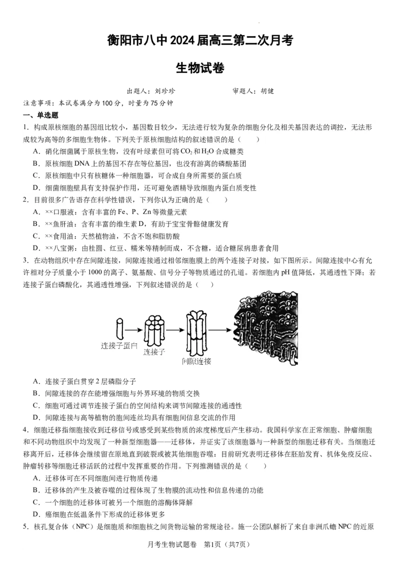 衡阳市八中2024届高三第2次月考生物试卷(1)_2023年10月_0210月合集_2024届湖南省衡阳市第八中学高三上学期10月月考（二）_湖南省衡阳市第八中学2024届高三上学期10月月考（二）生物