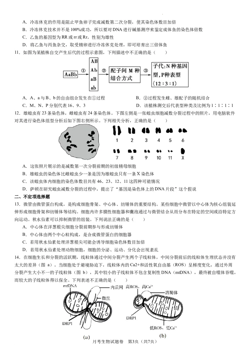 衡阳市八中2024届高三第2次月考生物试卷(1)_2023年10月_0210月合集_2024届湖南省衡阳市第八中学高三上学期10月月考（二）_湖南省衡阳市第八中学2024届高三上学期10月月考（二）生物