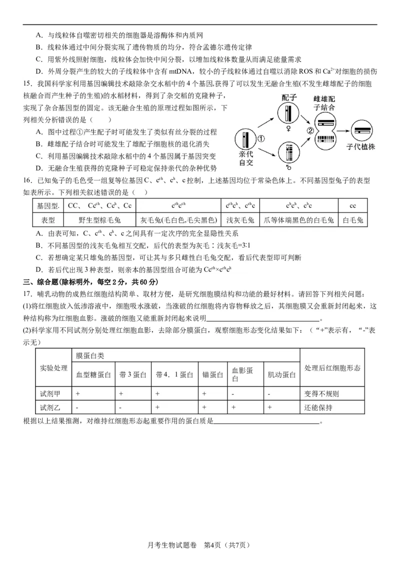 衡阳市八中2024届高三第2次月考生物试卷(1)_2023年10月_0210月合集_2024届湖南省衡阳市第八中学高三上学期10月月考（二）_湖南省衡阳市第八中学2024届高三上学期10月月考（二）生物