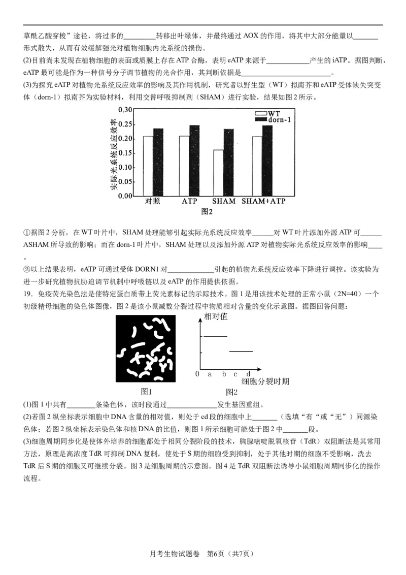 衡阳市八中2024届高三第2次月考生物试卷(1)_2023年10月_0210月合集_2024届湖南省衡阳市第八中学高三上学期10月月考（二）_湖南省衡阳市第八中学2024届高三上学期10月月考（二）生物