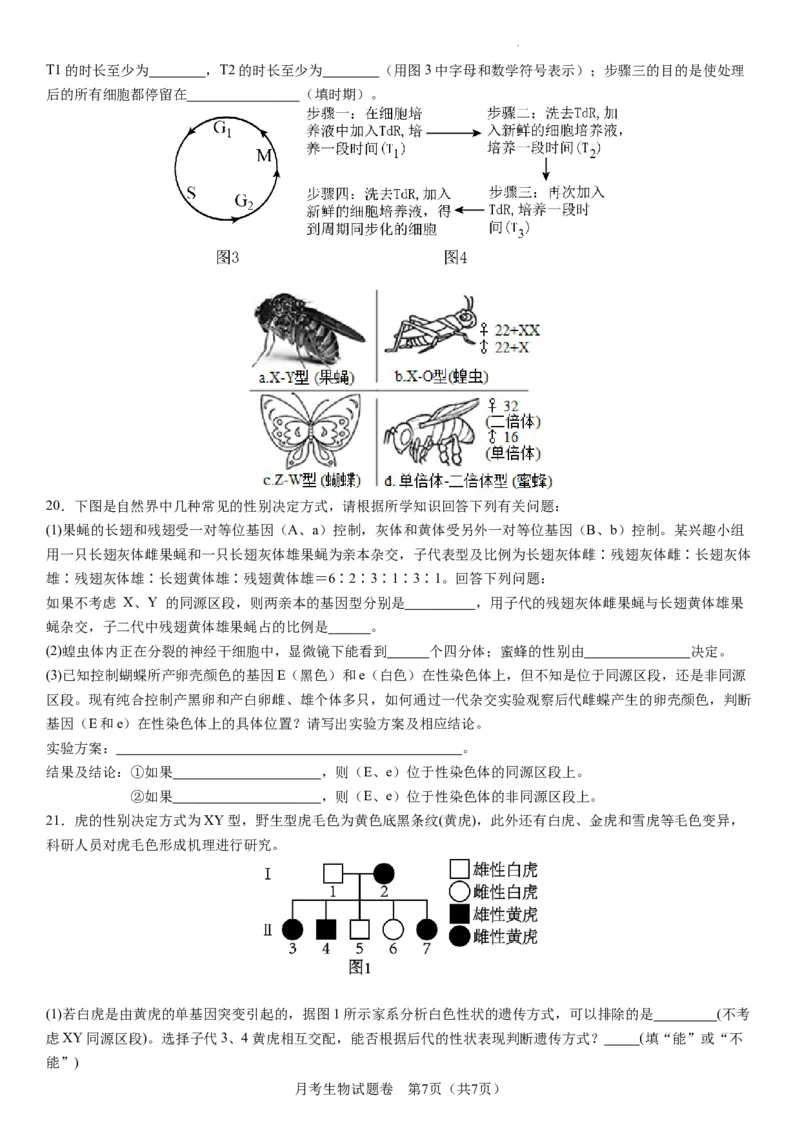 衡阳市八中2024届高三第2次月考生物试卷(1)_2023年10月_0210月合集_2024届湖南省衡阳市第八中学高三上学期10月月考（二）_湖南省衡阳市第八中学2024届高三上学期10月月考（二）生物
