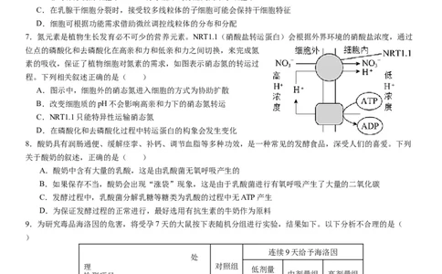 衡阳市八中2024届高三第2次月考生物试卷(1)_2023年10月_0210月合集_2024届湖南省衡阳市第八中学高三上学期10月月考（二）_湖南省衡阳市第八中学2024届高三上学期10月月考（二）生物