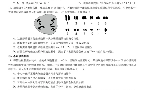 衡阳市八中2024届高三第2次月考生物试卷(1)_2023年10月_0210月合集_2024届湖南省衡阳市第八中学高三上学期10月月考（二）_湖南省衡阳市第八中学2024届高三上学期10月月考（二）生物