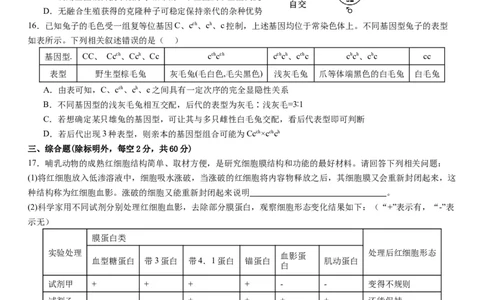 衡阳市八中2024届高三第2次月考生物试卷(1)_2023年10月_0210月合集_2024届湖南省衡阳市第八中学高三上学期10月月考（二）_湖南省衡阳市第八中学2024届高三上学期10月月考（二）生物