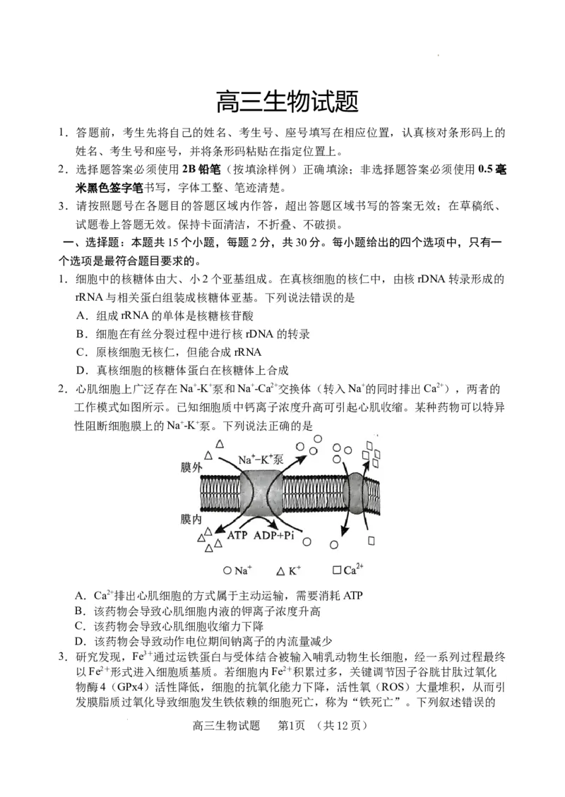 （教研室提供）山东省泰安肥城市2023-2024学年高三9月阶段测试生物试题_2023年9月_01每日更新_19号_2024届山东省泰安肥城市高三上学期9月阶段测试