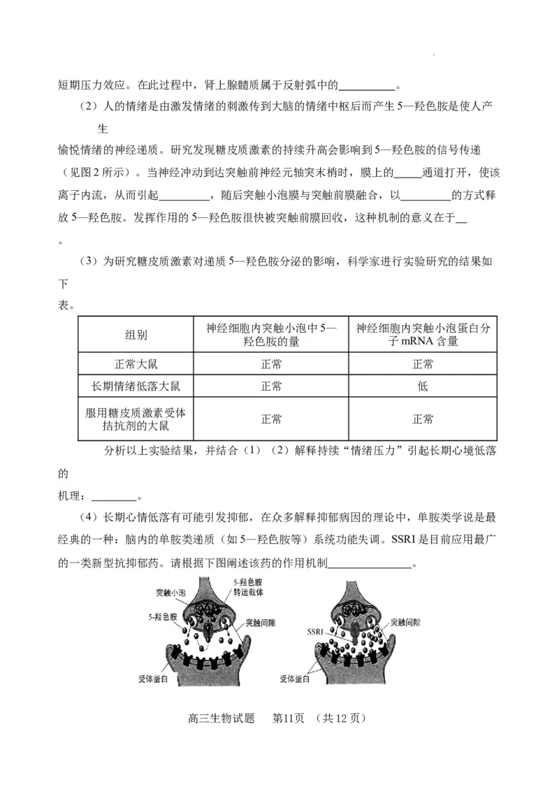 （教研室提供）山东省泰安肥城市2023-2024学年高三9月阶段测试生物试题_2023年9月_01每日更新_19号_2024届山东省泰安肥城市高三上学期9月阶段测试