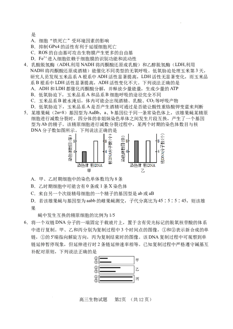 （教研室提供）山东省泰安肥城市2023-2024学年高三9月阶段测试生物试题_2023年9月_01每日更新_19号_2024届山东省泰安肥城市高三上学期9月阶段测试