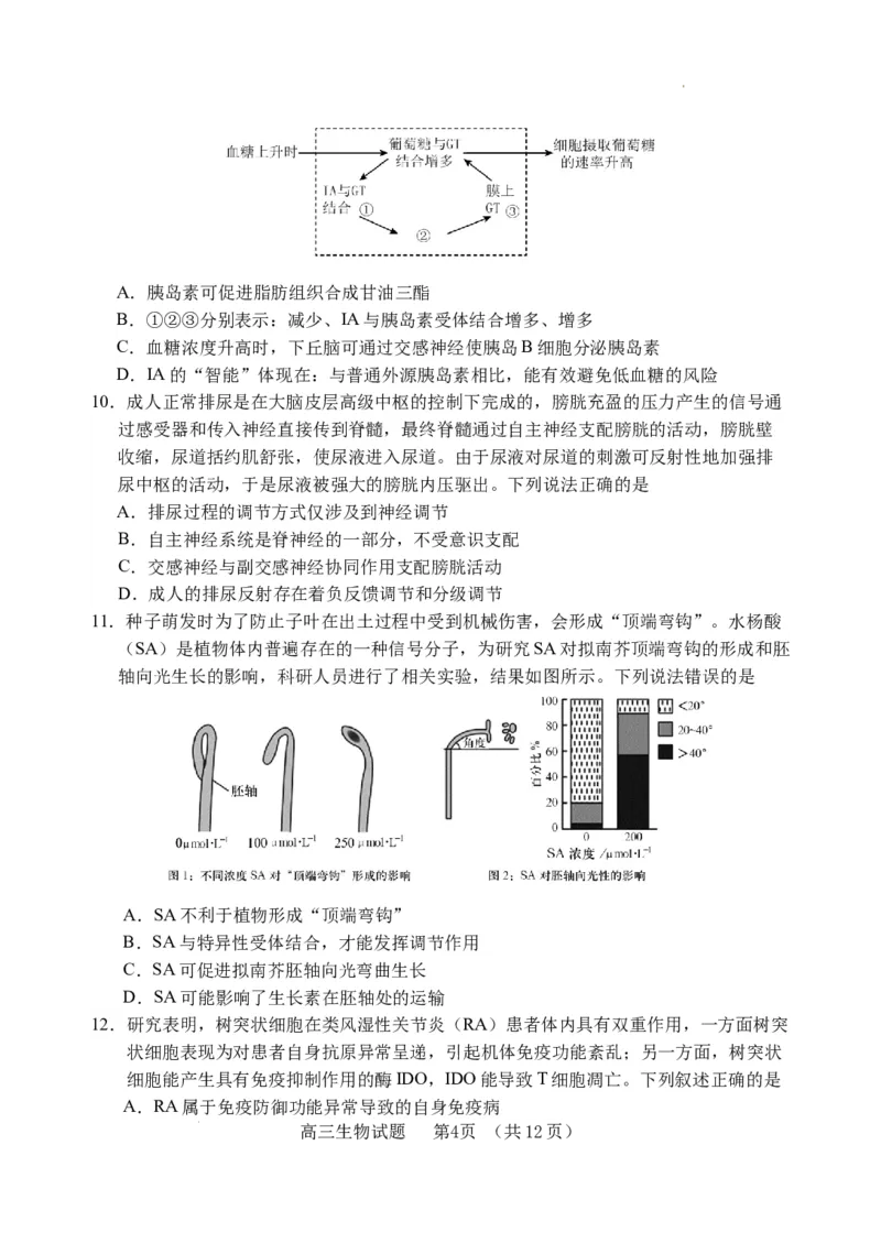 （教研室提供）山东省泰安肥城市2023-2024学年高三9月阶段测试生物试题_2023年9月_01每日更新_19号_2024届山东省泰安肥城市高三上学期9月阶段测试