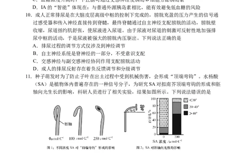 （教研室提供）山东省泰安肥城市2023-2024学年高三9月阶段测试生物试题_2023年9月_01每日更新_19号_2024届山东省泰安肥城市高三上学期9月阶段测试