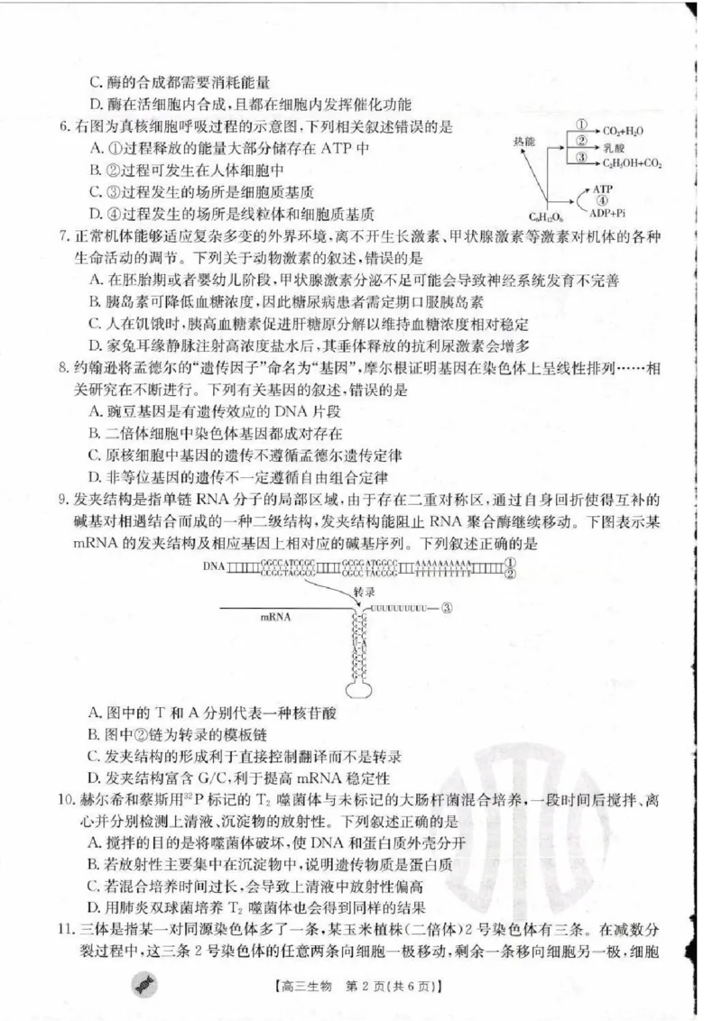 生物_2023年9月_01每日更新_11号_2024届青海、宁夏金太阳高三上学期9月联考（802C）_青海、宁夏金太阳2024届高三上学期9月联考（802C）生物