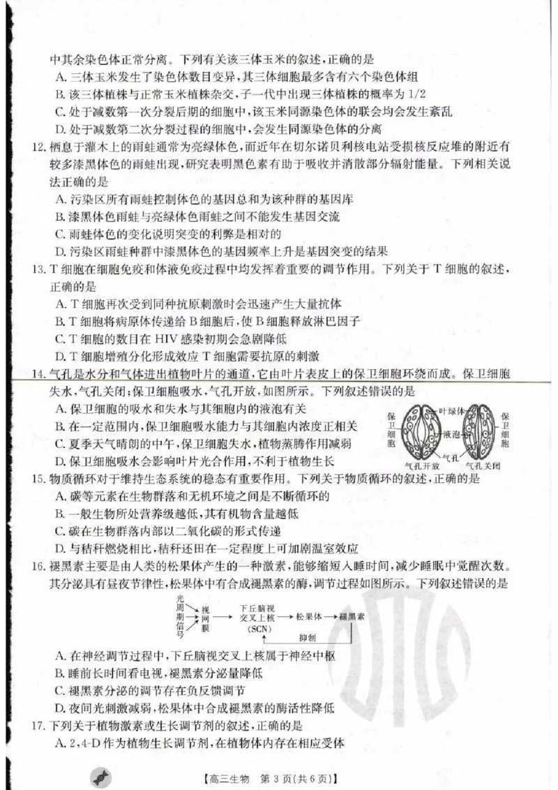 生物_2023年9月_01每日更新_11号_2024届青海、宁夏金太阳高三上学期9月联考（802C）_青海、宁夏金太阳2024届高三上学期9月联考（802C）生物