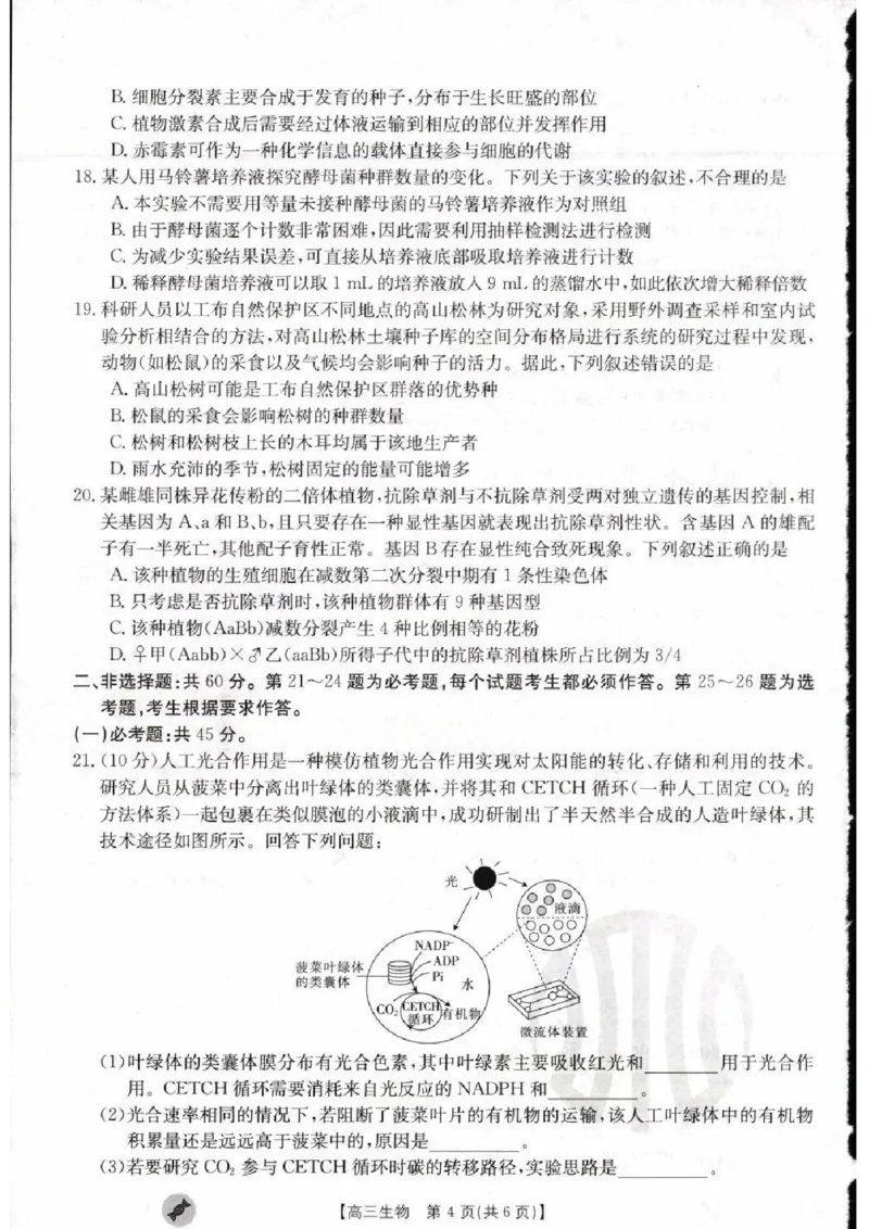 生物_2023年9月_01每日更新_11号_2024届青海、宁夏金太阳高三上学期9月联考（802C）_青海、宁夏金太阳2024届高三上学期9月联考（802C）生物