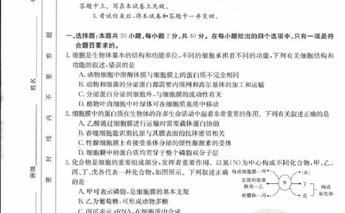 生物_2023年9月_01每日更新_11号_2024届青海、宁夏金太阳高三上学期9月联考（802C）_青海、宁夏金太阳2024届高三上学期9月联考（802C）生物