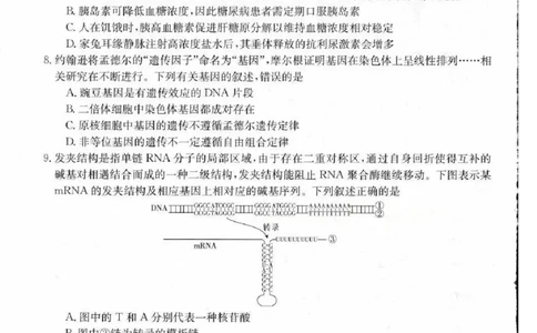 生物_2023年9月_01每日更新_11号_2024届青海、宁夏金太阳高三上学期9月联考（802C）_青海、宁夏金太阳2024届高三上学期9月联考（802C）生物