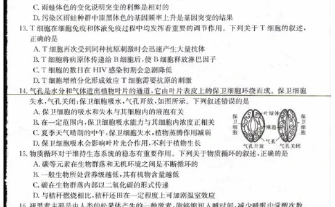 生物_2023年9月_01每日更新_11号_2024届青海、宁夏金太阳高三上学期9月联考（802C）_青海、宁夏金太阳2024届高三上学期9月联考（802C）生物