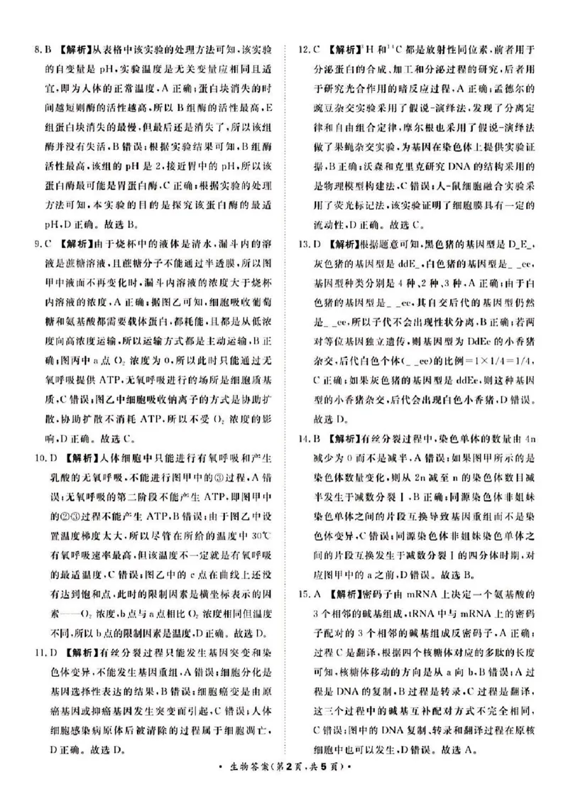 河南省青桐鸣大联考2024届高三上学期10月模拟预测生物(1)_2023年10月_01每日更新_9号_2024届河南省青桐鸣大联考高三上学期10月模拟预测