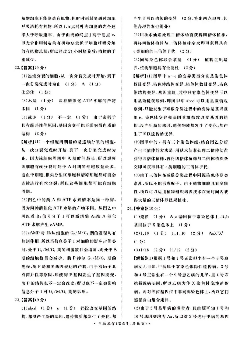 河南省青桐鸣大联考2024届高三上学期10月模拟预测生物(1)_2023年10月_01每日更新_9号_2024届河南省青桐鸣大联考高三上学期10月模拟预测