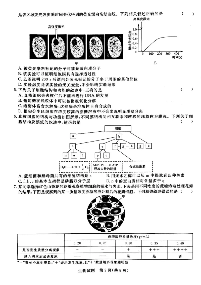 河南省青桐鸣大联考2024届高三上学期10月模拟预测生物(1)_2023年10月_01每日更新_9号_2024届河南省青桐鸣大联考高三上学期10月模拟预测