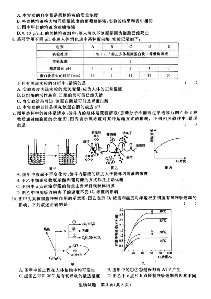 河南省青桐鸣大联考2024届高三上学期10月模拟预测生物(1)_2023年10月_01每日更新_9号_2024届河南省青桐鸣大联考高三上学期10月模拟预测