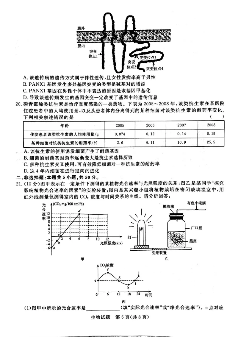 河南省青桐鸣大联考2024届高三上学期10月模拟预测生物(1)_2023年10月_01每日更新_9号_2024届河南省青桐鸣大联考高三上学期10月模拟预测