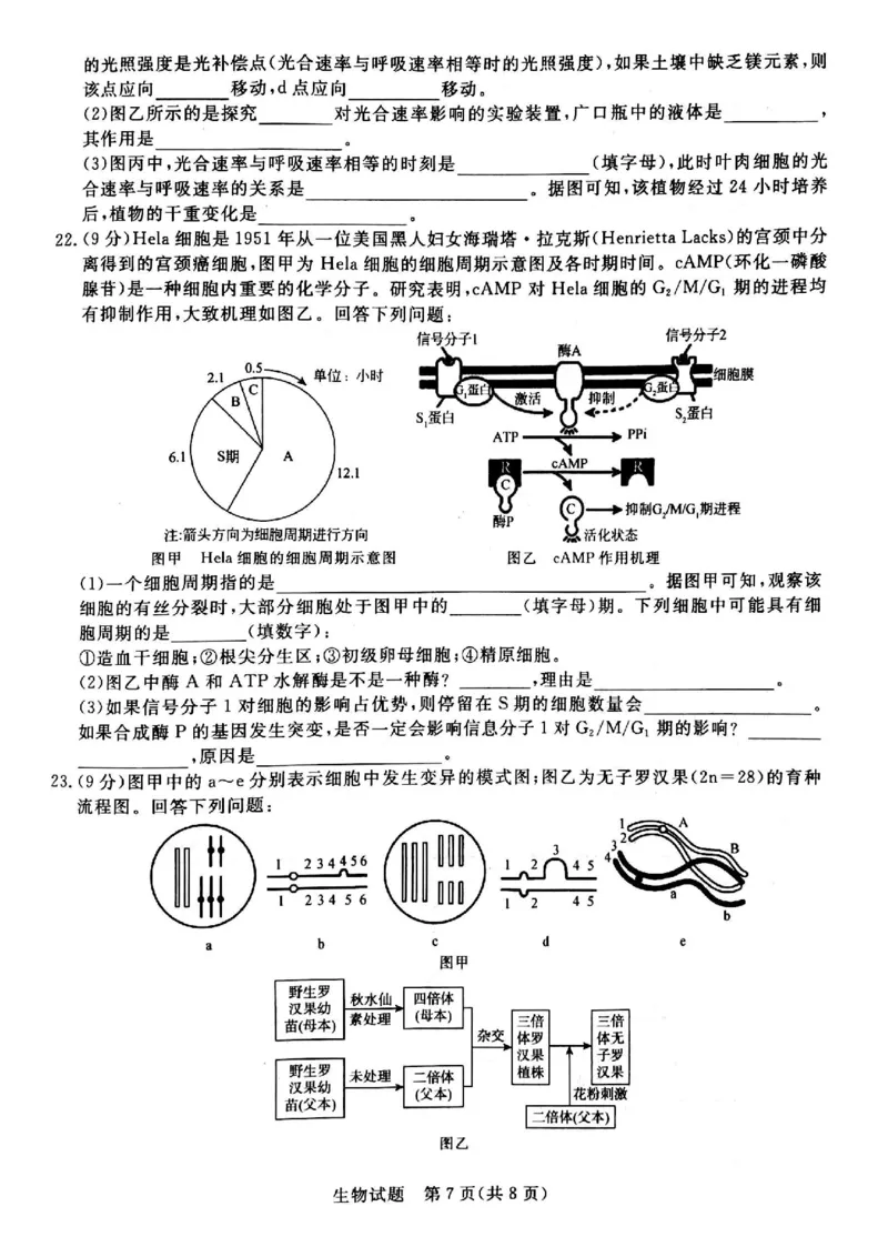 河南省青桐鸣大联考2024届高三上学期10月模拟预测生物(1)_2023年10月_01每日更新_9号_2024届河南省青桐鸣大联考高三上学期10月模拟预测