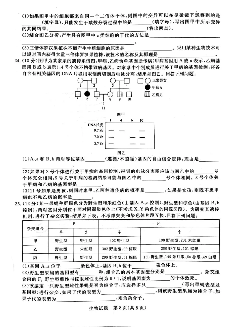 河南省青桐鸣大联考2024届高三上学期10月模拟预测生物(1)_2023年10月_01每日更新_9号_2024届河南省青桐鸣大联考高三上学期10月模拟预测